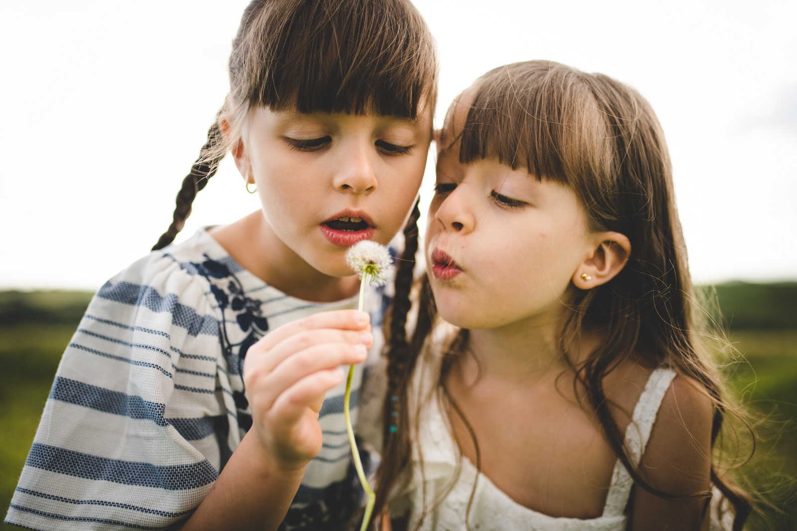 kids with dandelion fuzz