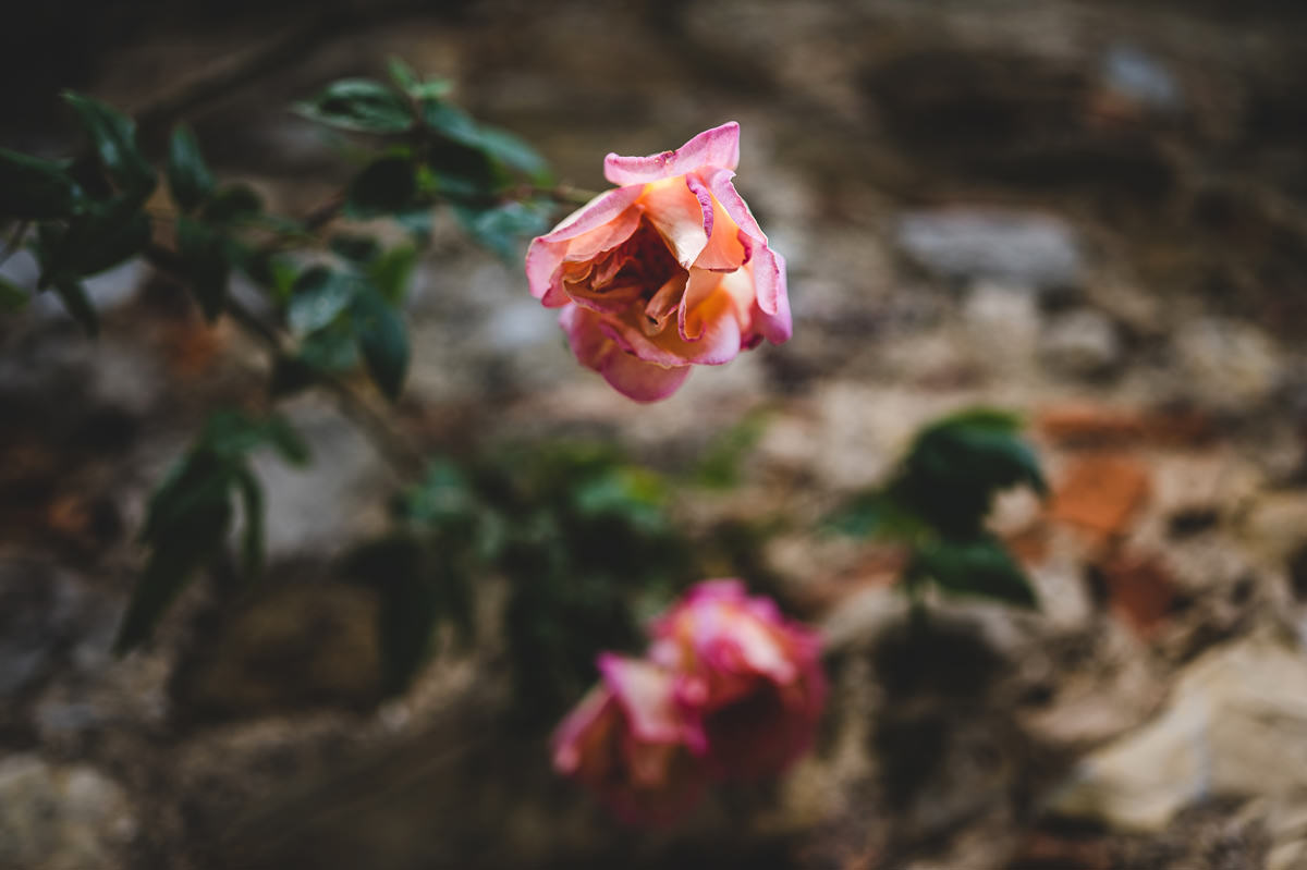 wedding-photographer-tuscany-villa-nemora