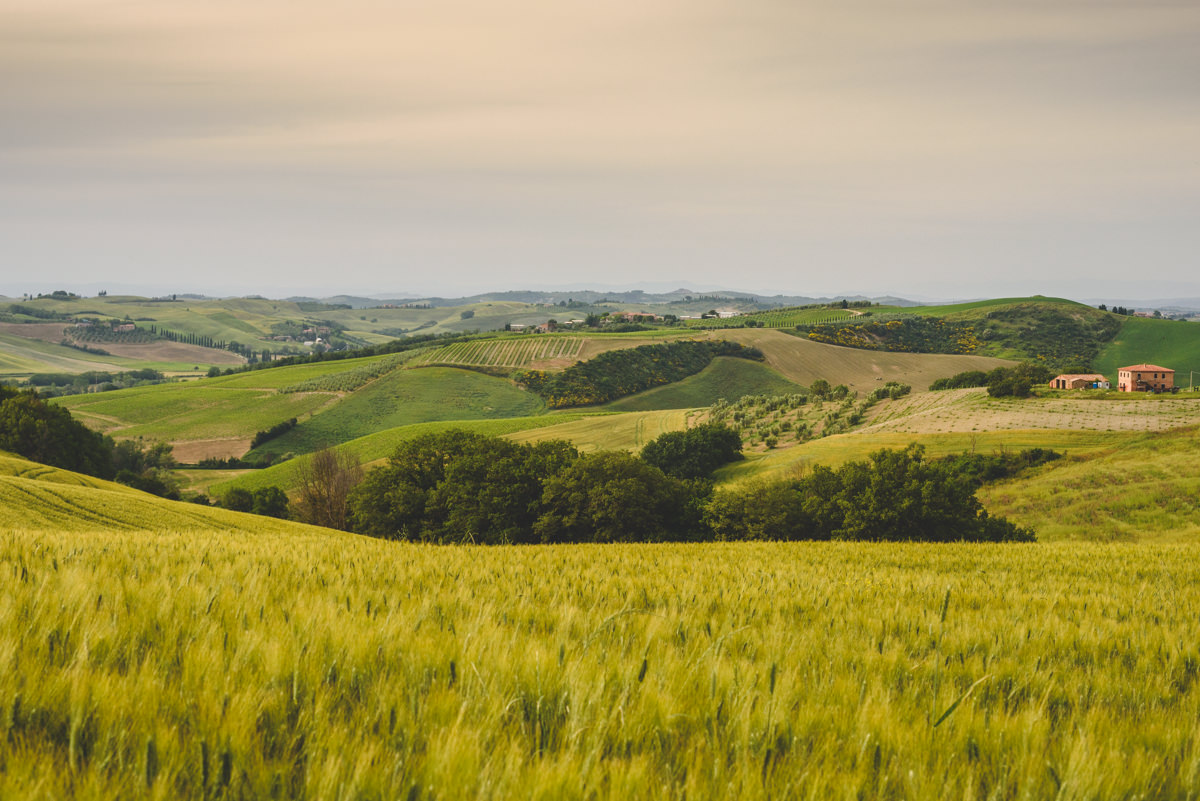 Best Photographer Val'Orcia