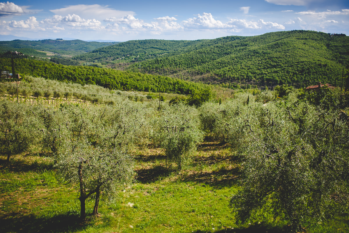Engagement Photography Chianti