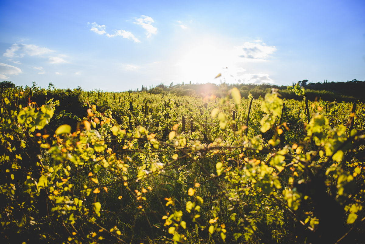 Engagement Photography Chianti