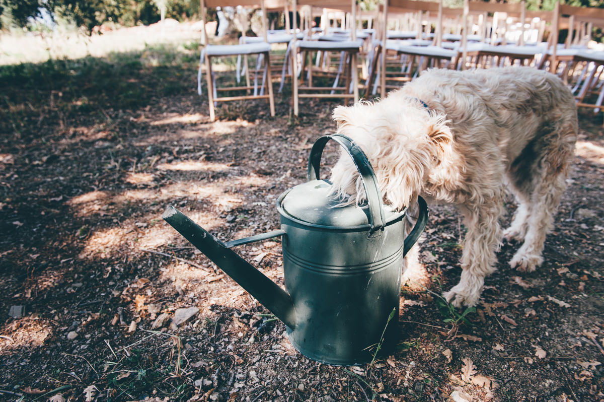 Wedding Photographer Tuscany Farmhouse